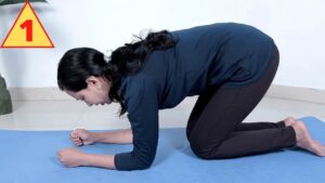 Back Pain Exercise
