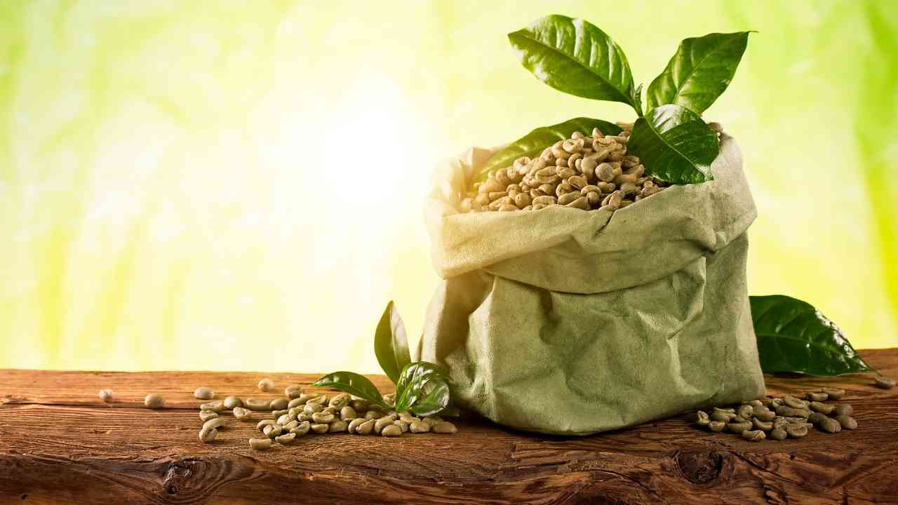 Green Coffee Bean Extract A Sure Way To Lose Weight Green Coffee