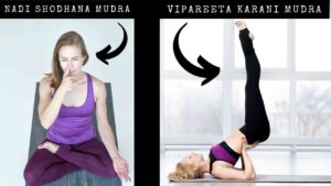 Mudra Yoga